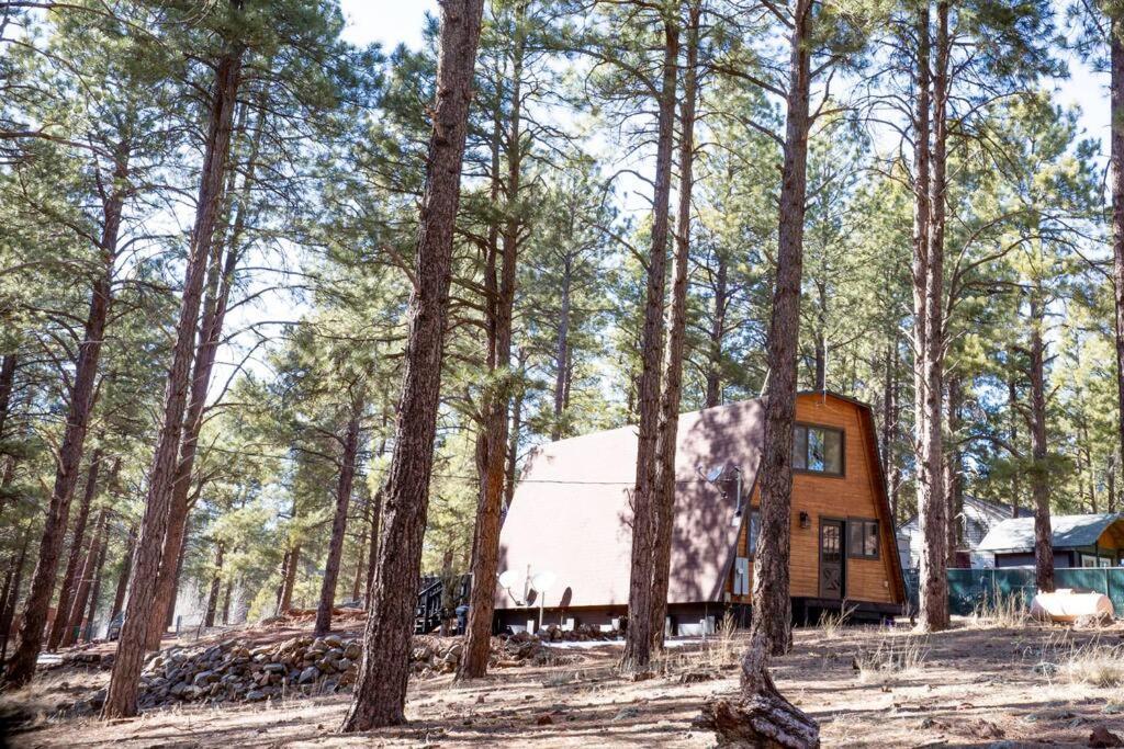 Grand Canyon Cabin! One Hour And 10 Minutes To The South Entrance! Williams Esterno foto