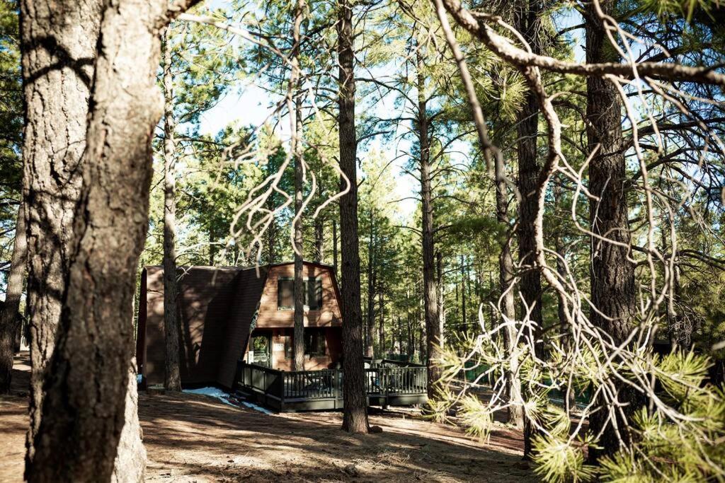 Grand Canyon Cabin! One Hour And 10 Minutes To The South Entrance! Williams Esterno foto