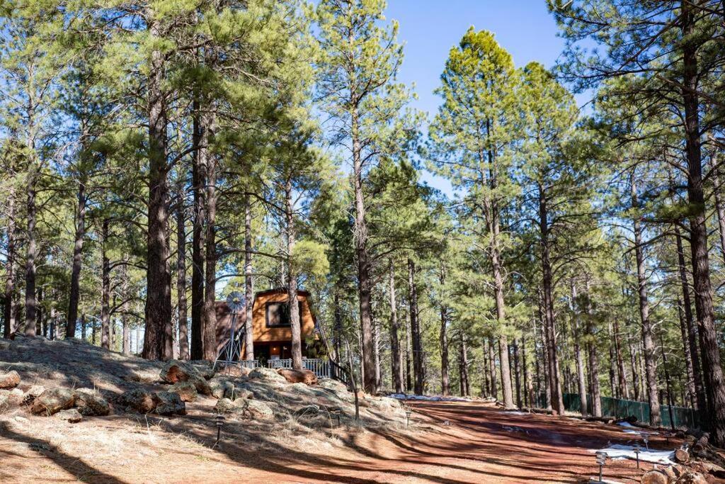 Grand Canyon Cabin! One Hour And 10 Minutes To The South Entrance! Williams Esterno foto