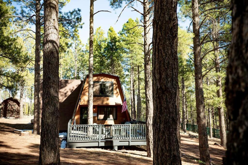 Grand Canyon Cabin! One Hour And 10 Minutes To The South Entrance! Williams Esterno foto