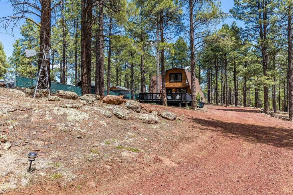 Grand Canyon Cabin! One Hour And 10 Minutes To The South Entrance! Williams Esterno foto