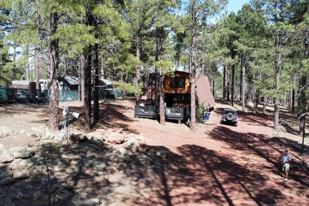 Grand Canyon Cabin! One Hour And 10 Minutes To The South Entrance! Williams Esterno foto