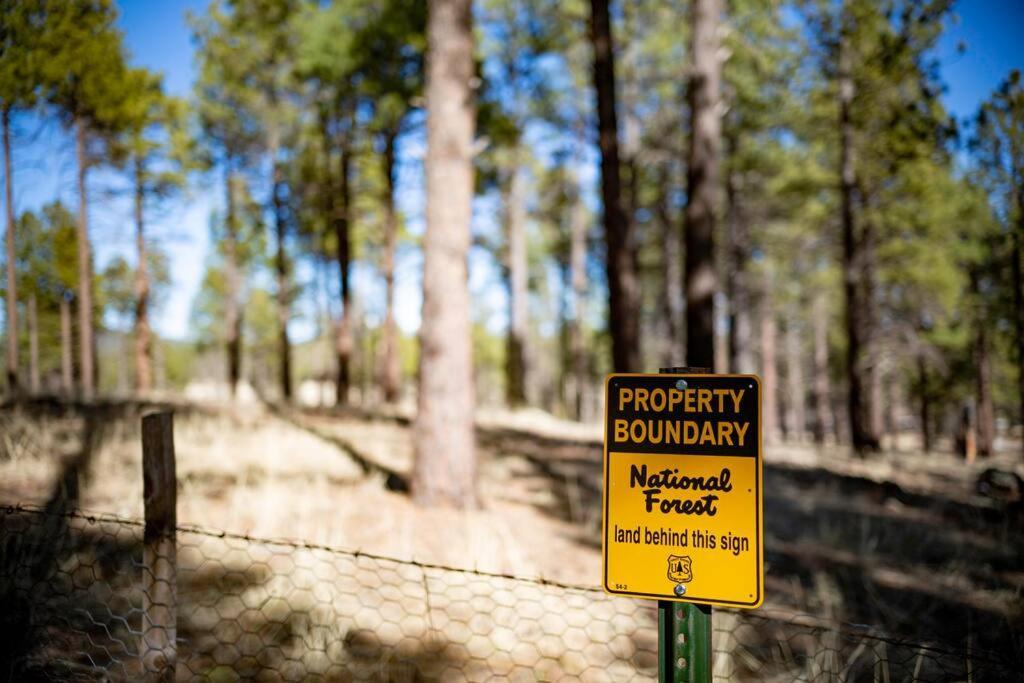 Grand Canyon Cabin! One Hour And 10 Minutes To The South Entrance! Williams Esterno foto